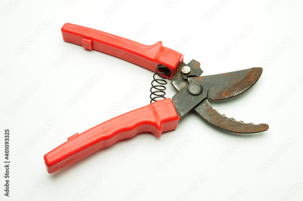 Scissors for pruning tree branches and bushes on a white background Scissors for pruning tree branches and bushes on a white background