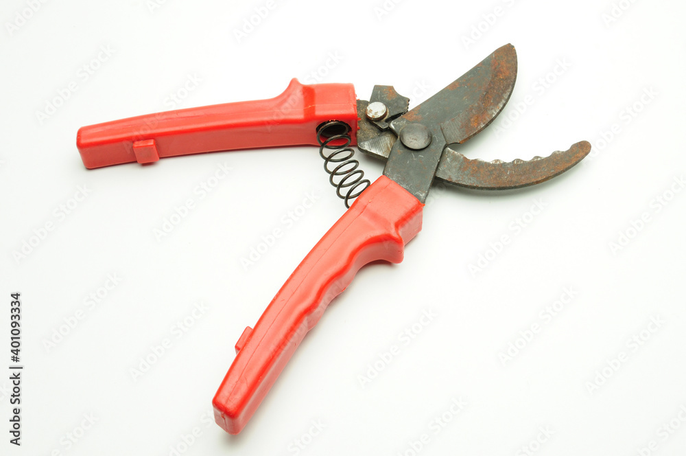 Scissors for pruning tree branches and bushes on a white background Scissors for pruning tree branches and bushes on a white background
