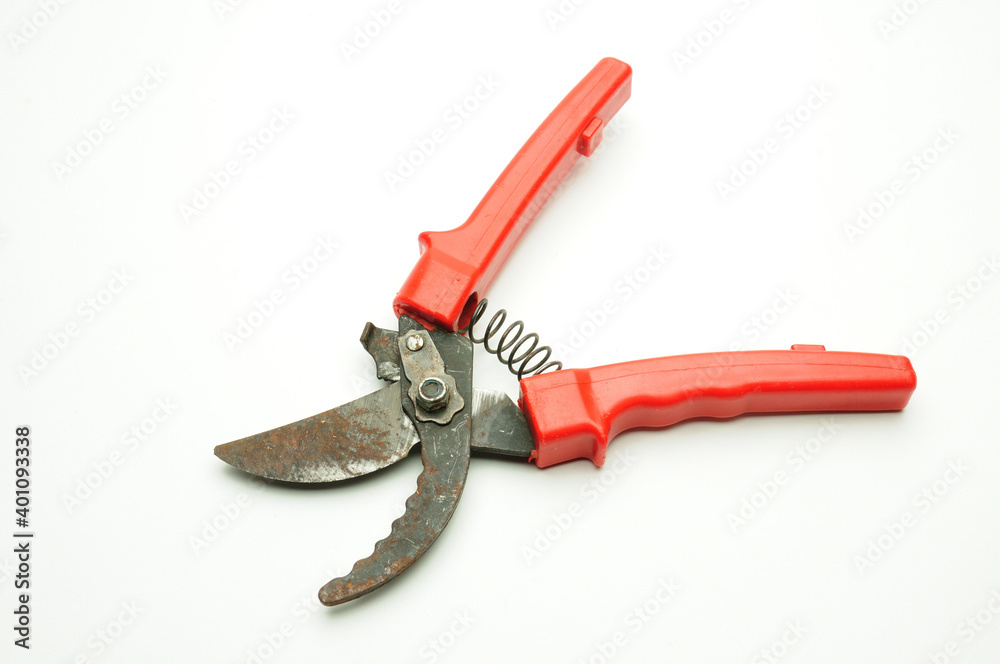Scissors for pruning tree branches and bushes on a white background Scissors for pruning tree branches and bushes on a white background