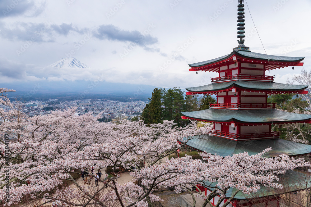 新倉山浅間公園より富士山と満開の桜