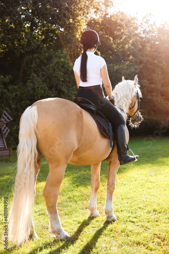 Young woman in equestrian suit riding horse outdoors on sunny day, back view. Beautiful pet © New Africa