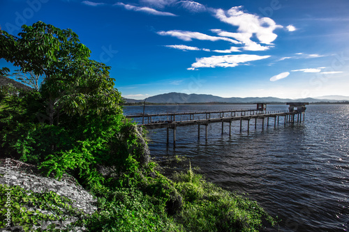 Wallpaper Mural Close-up natural background of the morning scenery with the sun's rays hitting the water surface, the grassy trees on the edge of the reservoir, and the blurred wind, cool during the trip. Torontodigital.ca