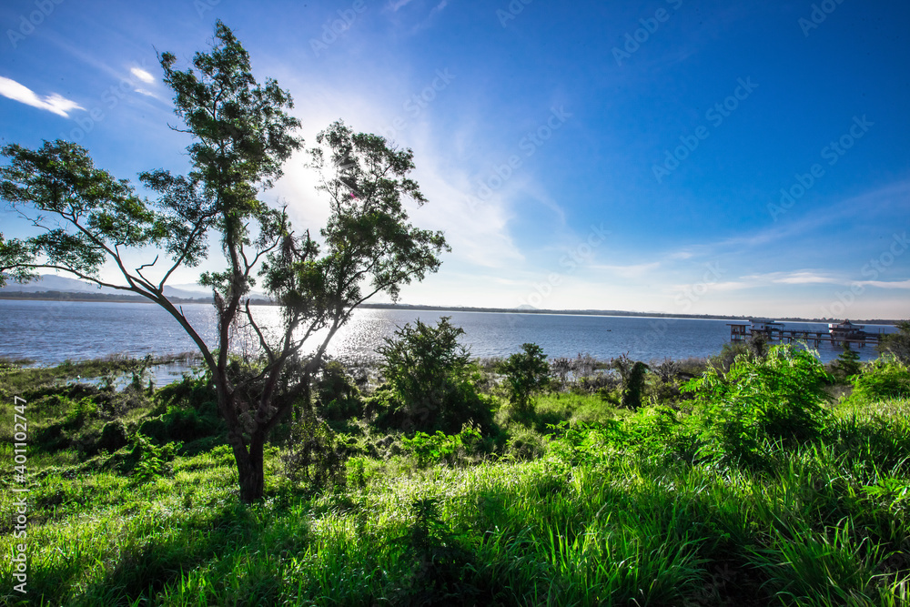 Close-up natural background of the morning scenery with the sun's rays hitting the water surface, the grassy trees on the edge of the reservoir, and the blurred wind, cool during the trip.