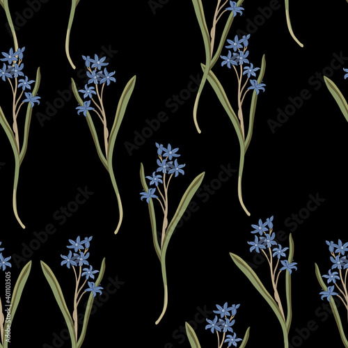 Seamless floral pattern with Mercury Bluebell flowers. (Scilla). Vintage style. On black background. photo