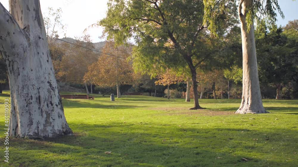 A wide shot of a green lawn in a public park with trees a trash can and picnic table in the distance