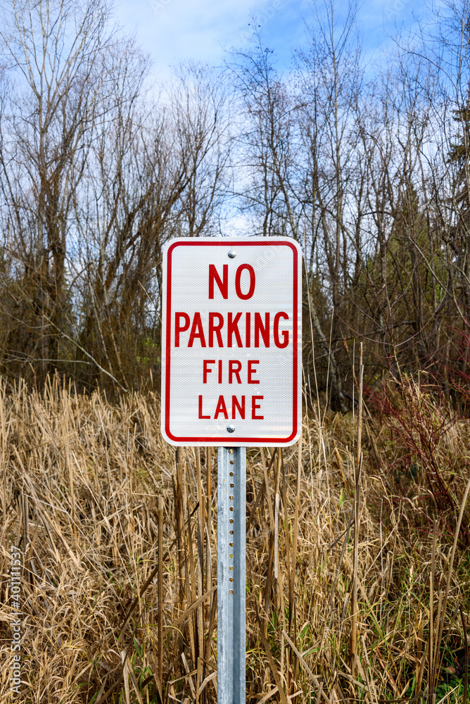 No parking fire lane sign in front of a winter wetland with dried cattails, deciduous trees, blue sky and white clouds in background
No parking fire lane sign in front of a winter wetland with dried cattails, deciduous trees, blue sky and white clouds in background