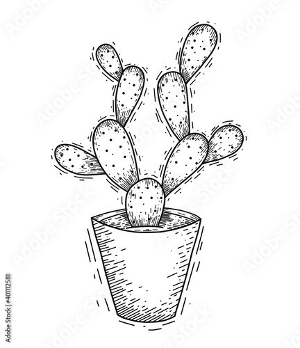 Contour illustration of succulent cactus in a pot with needles with hatching. Engraved picture of a home plant for interior decoration. Vector sketch for cards, banners, stickers and your creativity.