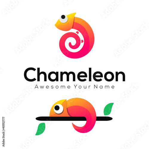 this is a colorful chameleon logo