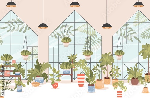Flower shop vector flat interior design with big windows. Different home and outdoor plants and trees on shelves and stands. Agriculture gardener hobby, garden shop illustration.