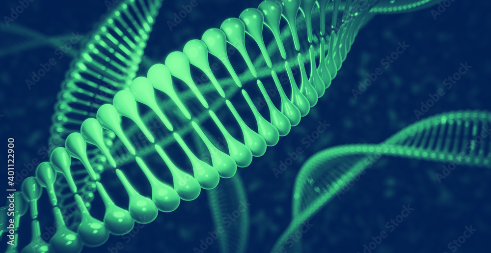 DNA Doppelhelix Protein: Konzept Mutation oder Evolution DNA Doppelhelix Protein: Konzept Mutation oder Evolution