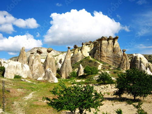 The landscape with Fairy Chimneys at Pasabag, Cappadocia, TURKEY photo