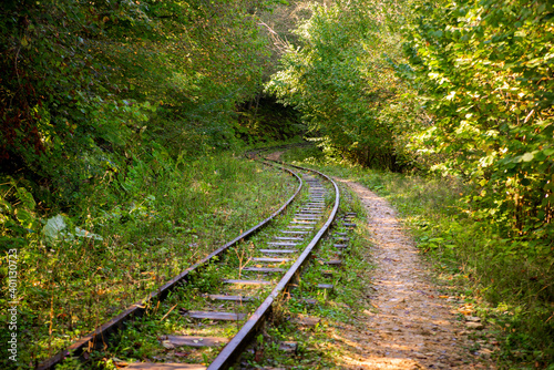 Obraz na płótnie Abandoned railway in autumn mountain forest with foliar trees in Caucasus, Mezmay w salonie
