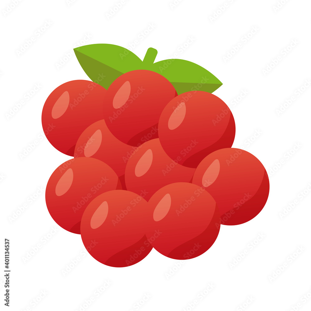 Obraz premium blackberry fresh delicious fruit isolated style icon