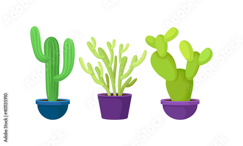 Green Cactus and Succulent Plant Growing in Flowerpots Vector Set