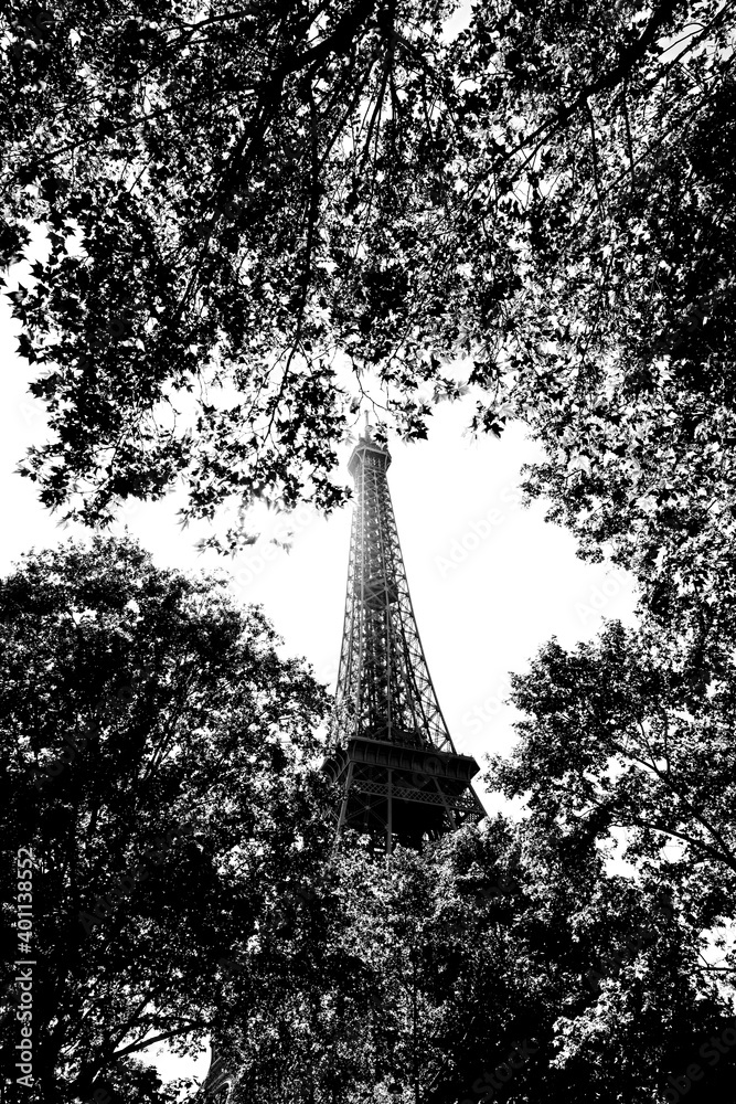 Eiffel tower in Champ-de-Mars garden