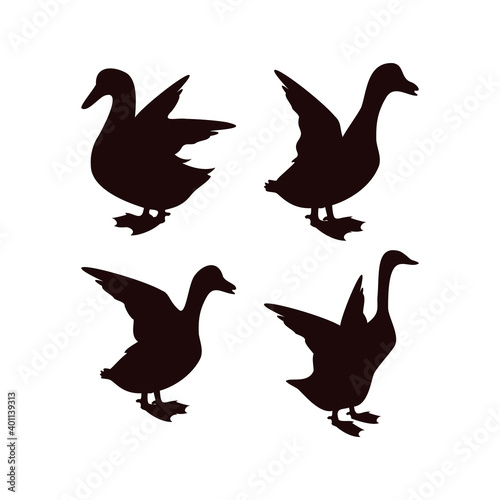 Duck icon design template vector isolated illustration