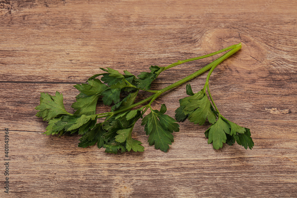 Green fresh parsley branch herb Green fresh parsley branch herb