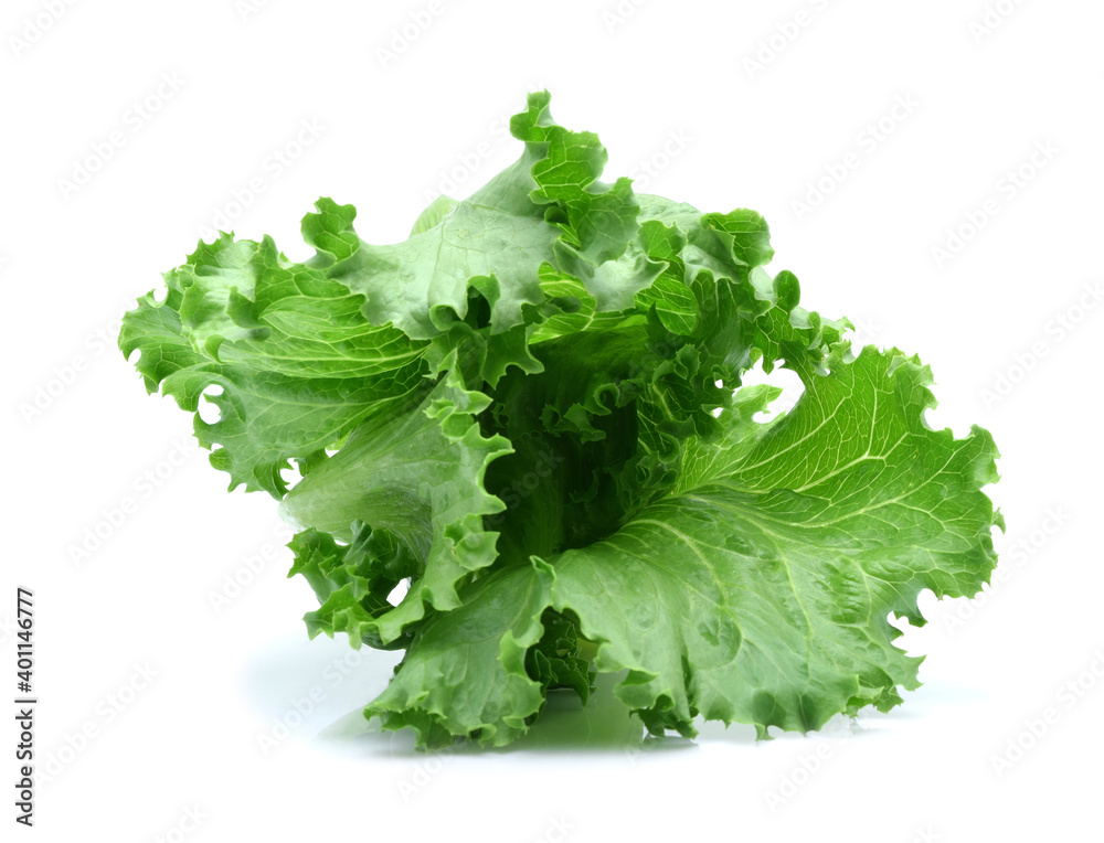 Fresh green Lettuce leaves, Salad leaf isolated on white background. Fresh green Lettuce leaves, Salad leaf isolated on white background.