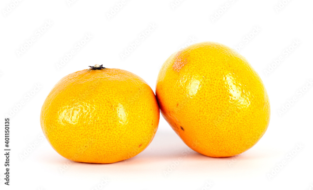 Two oranges on white background Two oranges on white background
