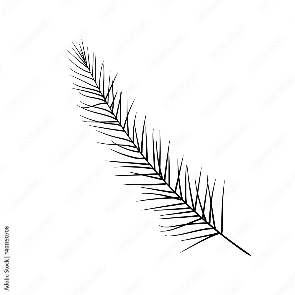 Fir sprig symbol of Christmas and New Year winter holidays. Hand drawn black doodle sketch clip art. Stock vector illustration isolated on white background. Fir sprig symbol of Christmas and New Year winter holidays. Hand drawn black doodle sketch clip art. Stock vector illustration isolated on white background.