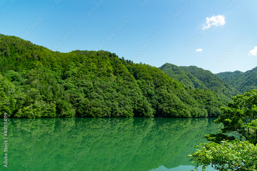 緑の森と湖面