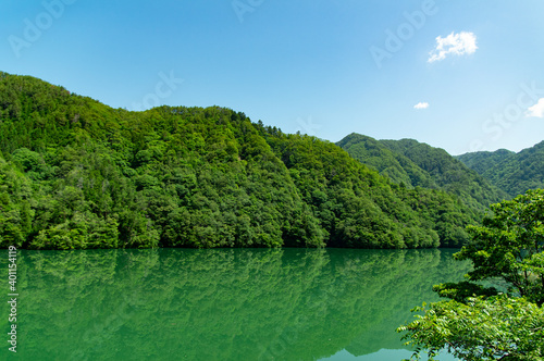 緑の森と湖面