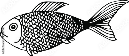 One fish. Fish drawing. Ocean dweller.