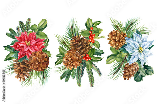 Floral arrangements, composition of Christmas star flowers, pine cones, holly, spruce branches, watercolor drawing