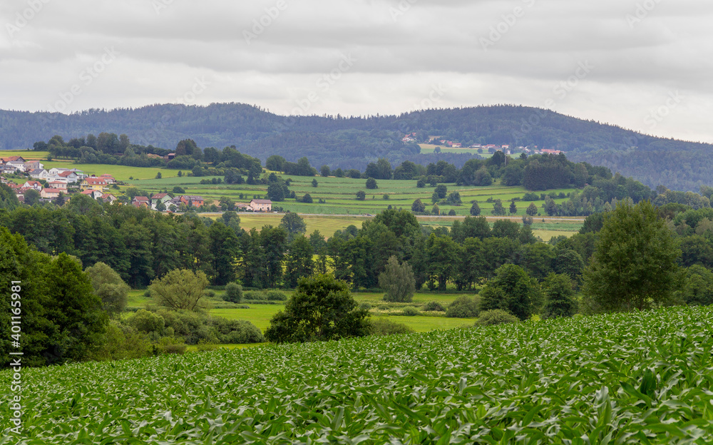 Obraz premium Bavarian Forest scenery