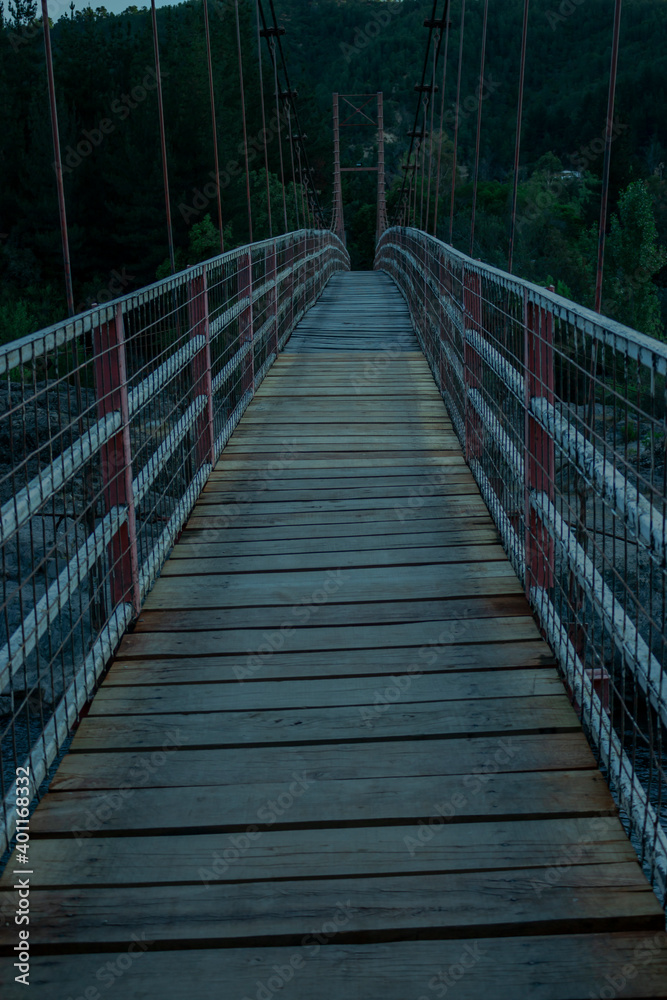 Fototapeta premium wooden bridge in the forest