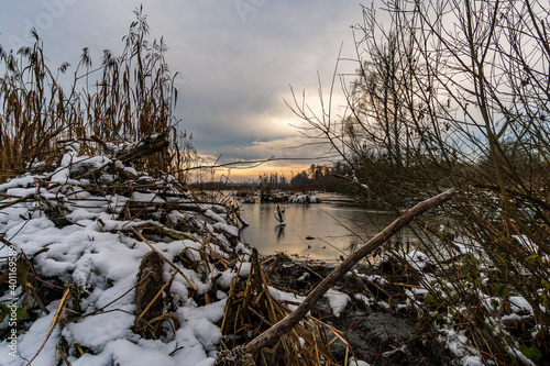 Snow-covered winter landscape in the Pfrunger Ried near Ostrach photo