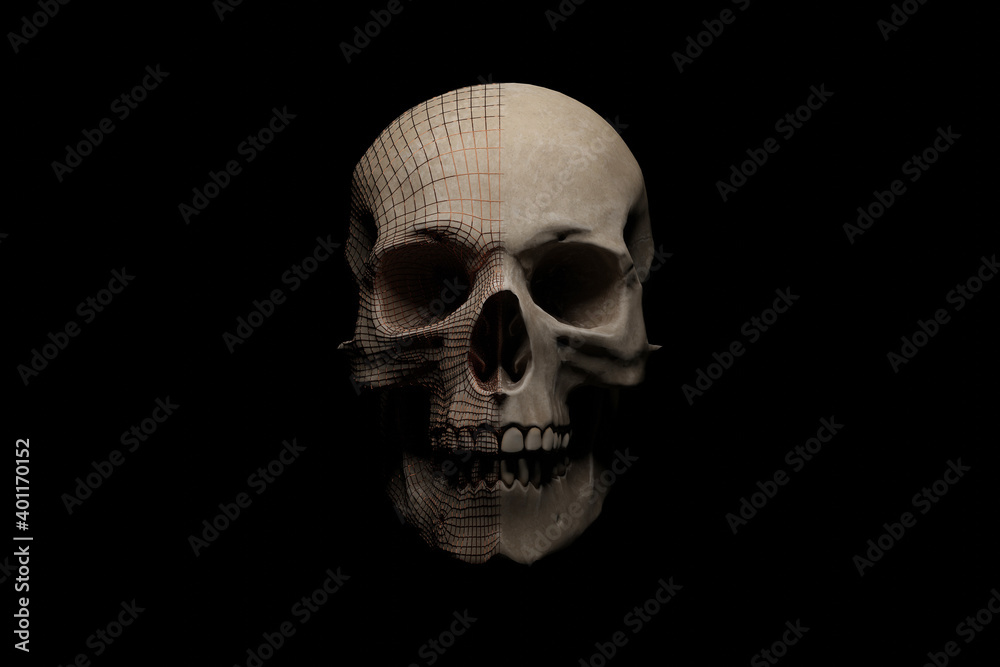 Human skull covered by a metallic wireframe on the half side. 3D rendering.