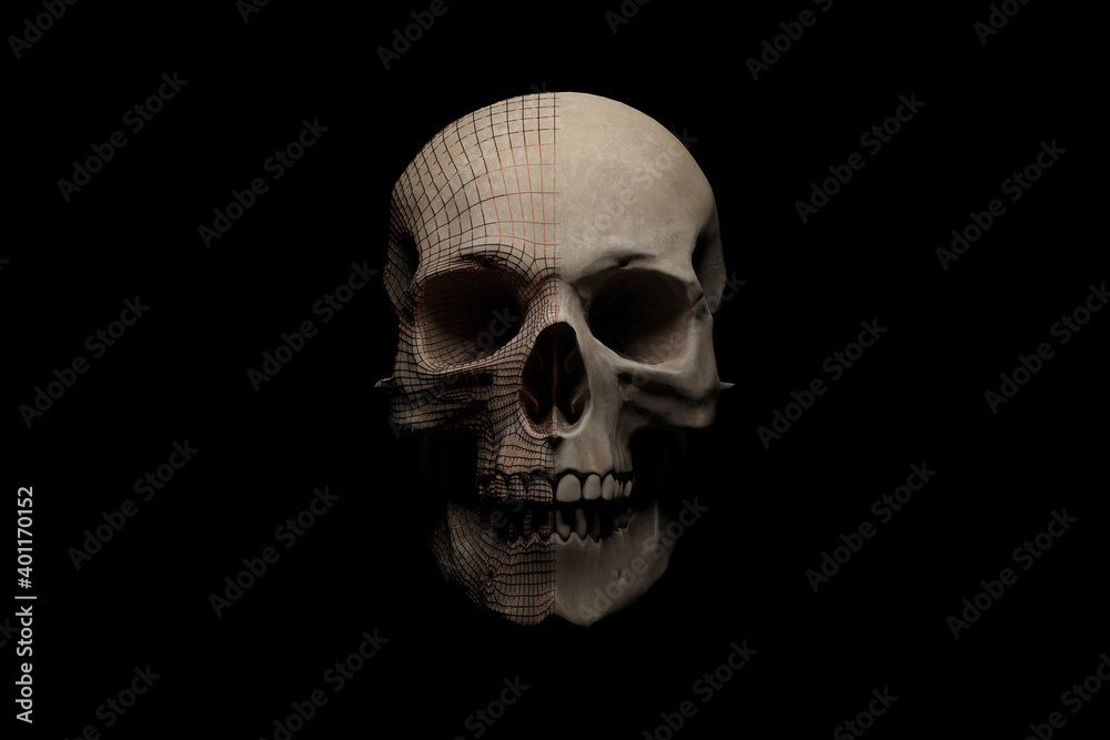 Human skull covered by a metallic wireframe on the half side. 3D rendering. Human skull covered by a metallic wireframe on the half side. 3D rendering.