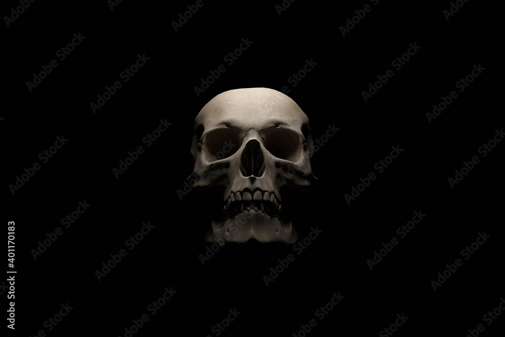 Obraz premium Stylized image of human skull on black background. 3D rendering.