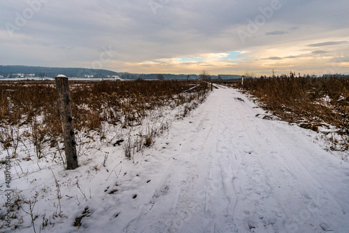 Snow-covered winter landscape in the Pfrunger Ried near Ostrach