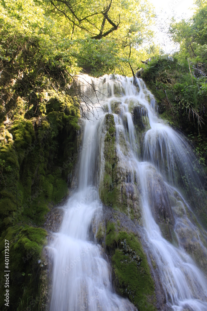 waterfall in the forest