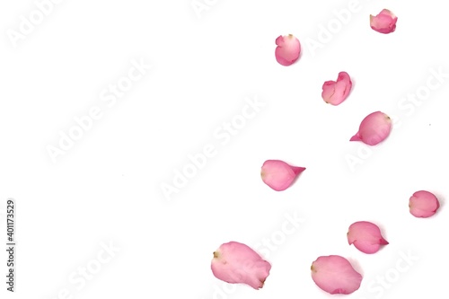 Blurred a group of sweet red rose corollas on white isolated background with copy space