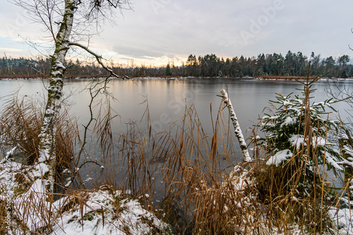 Snow-covered winter landscape in the Pfrunger Ried near Ostrach