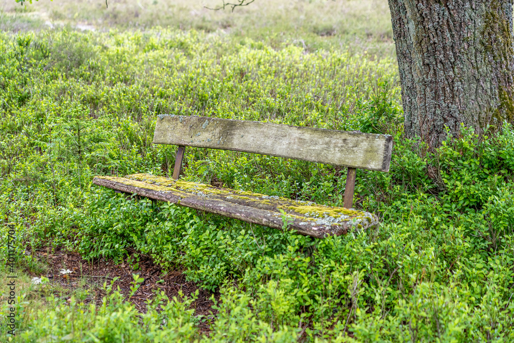 old wooden bench in the hillside landscape in the nature preservation area of the lueneburger heide old wooden bench in the hillside landscape in the nature preservation area of the lueneburger heide