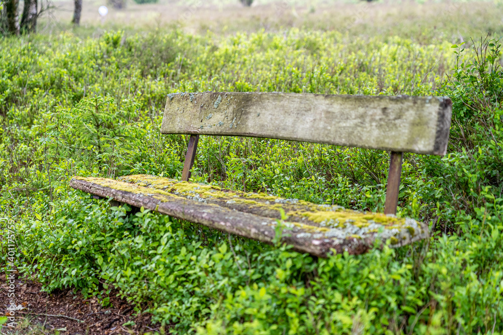 Fototapeta premium old wooden bench in the hillside landscape in the nature preservation area of the lueneburger heide