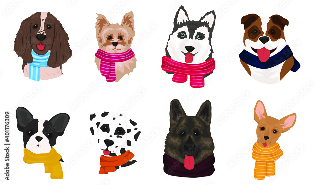 Fototapeta premium A set of dogs in knitted scarves. Cute doodle corgi in New Year and Christmas image. Collection of funny dogs of different breeds.Vector illustration
