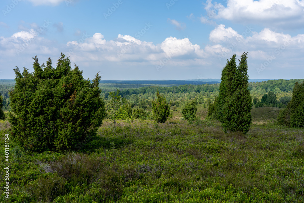 beautiful hillside landscape in the nature preservation area of the lueneburger heide beautiful hillside landscape in the nature preservation area of the lueneburger heide