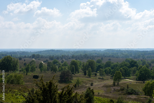beautiful hillside landscape in the nature preservation area of the lueneburger heide