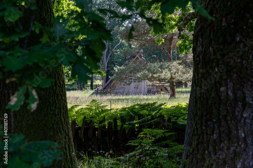 Characteristic stable for German moorland sheep with a straw roof  in the natural preserve Lueneburger Heide