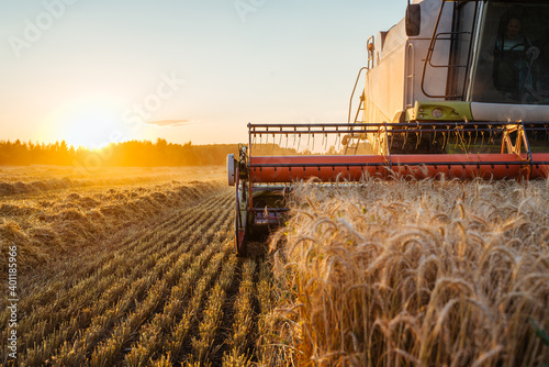 Combine harvester harvests ripe wheat. Concept of a rich harvest. Agriculture image photo
