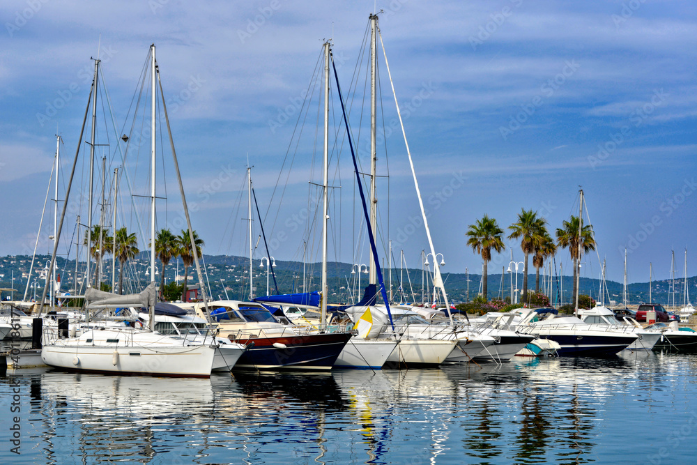 Obraz premium Port of Cavalaire-sur-Mer and palm trees in the background, commune in the Var department in the Provence-Alpes-Côte d'Azur region in southeastern France.
