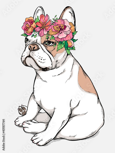 Cute sitting french bulldog girl in a flower wreath. Spring portrait of a dog. Stylish image for printing on any surface
