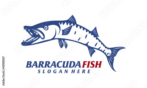 Barracuda fish design vector illustration  Creative Barracuda fish logo design concepts template  icon symbol