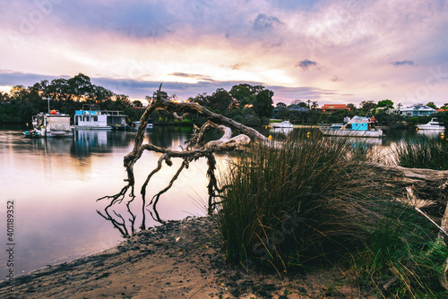 Spectacular Summertime Sunset at waterfront, with old tree and Mirror Image Reflections, in Perth, Western Australia 