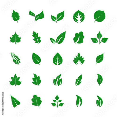 Leaf icon set isolated on white background. Collection of leaf icons for logo, poster, placard and wallpaper. Creative art concept. Leaf vector illustration